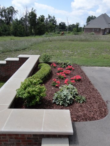Daisy Landscape - Fire Pits
