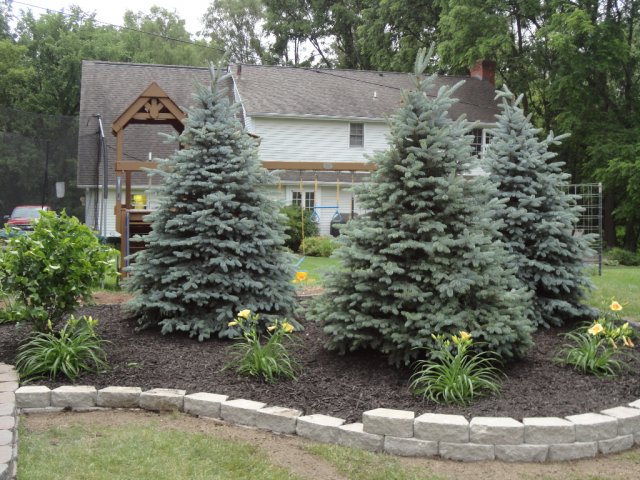 Daisy Landscape - Fire Pits