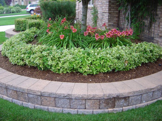 Daisy Landscape - Fire Pits