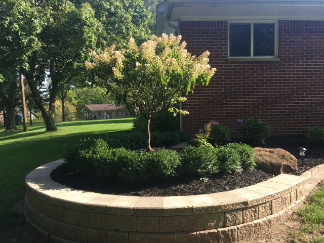 Daisy Landscape - Fire Pits