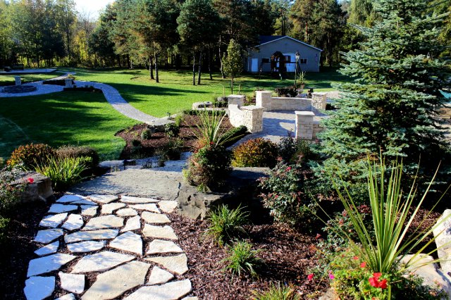 Daisy Landscape - Fire Pits