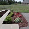 Daisy Landscape - Fire Pits
