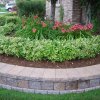 Daisy Landscape - Fire Pits