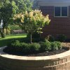 Daisy Landscape - Fire Pits