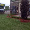 Daisy Landscape - Fire Pits