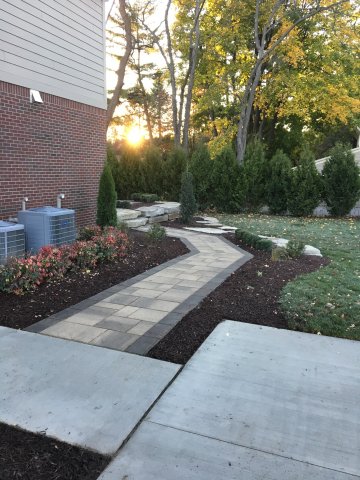 Daisy Landscape - Pavers