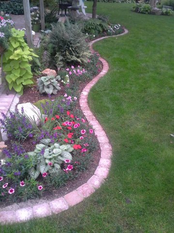 Daisy Landscape - Pavers
