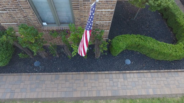 Daisy Landscape - Pavers