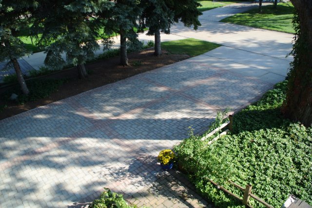 Daisy Landscape - Pavers
