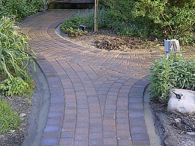 Daisy Landscape - Pavers