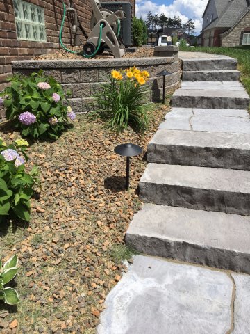 Daisy Landscape - Walls &amp; Steps