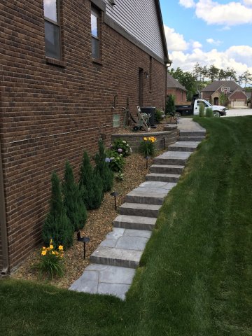 Daisy Landscape - Walls &amp; Steps