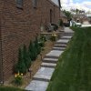 Daisy Landscape - Walls &amp; Steps